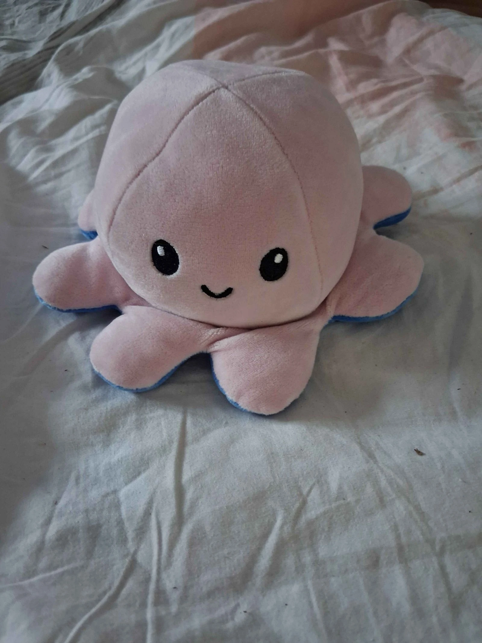 Poulpe rose et bleu
